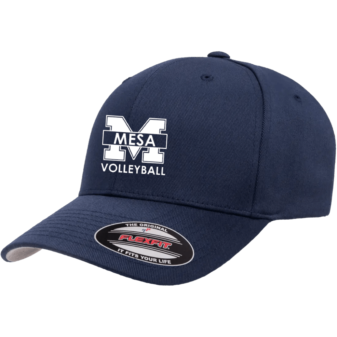 SDMC Volleyball