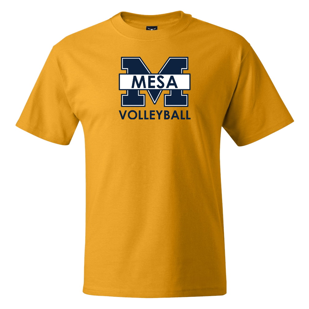 SDMC Volleyball