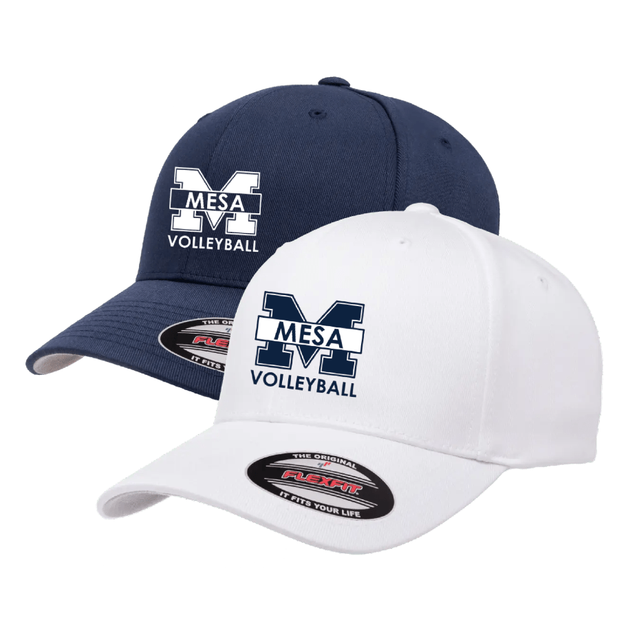 SDMC Volleyball